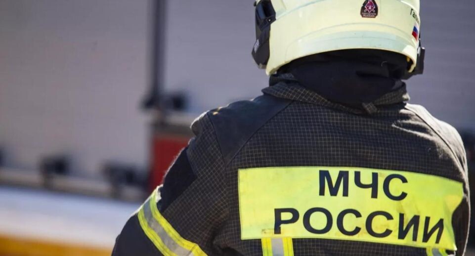    РИА «Новости»