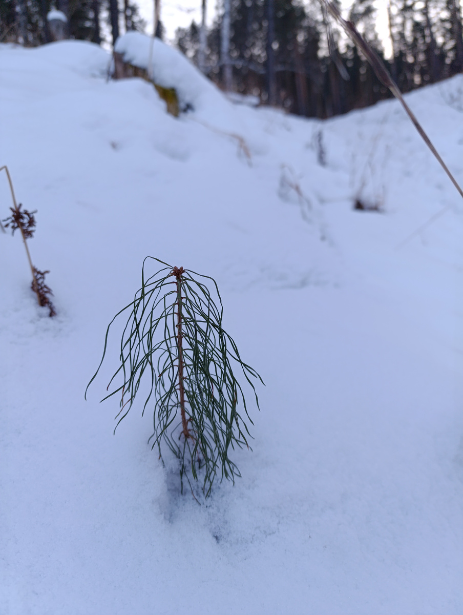 Натуральное лучше.