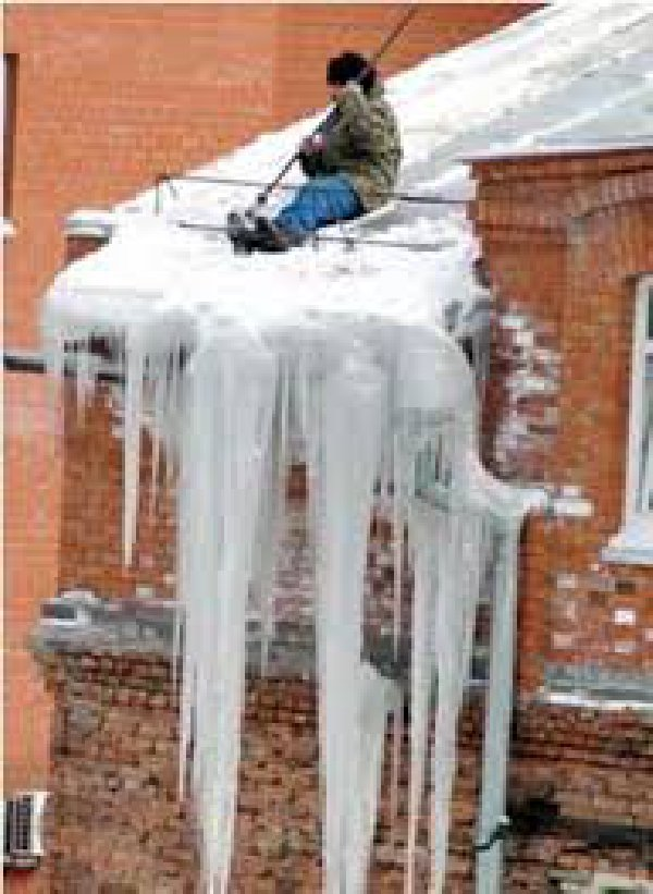 Махмут, привяжись!