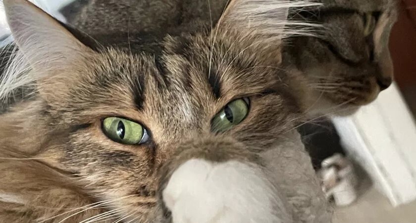    Автор фото - Анна Ефимова