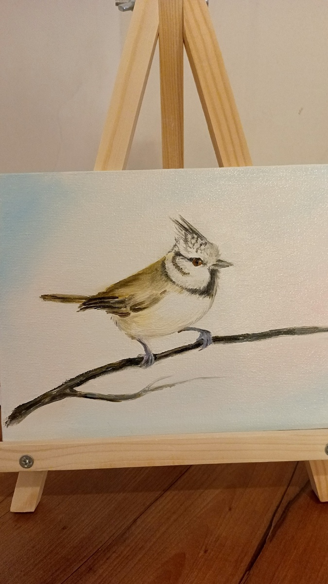 #2 Черноголовка