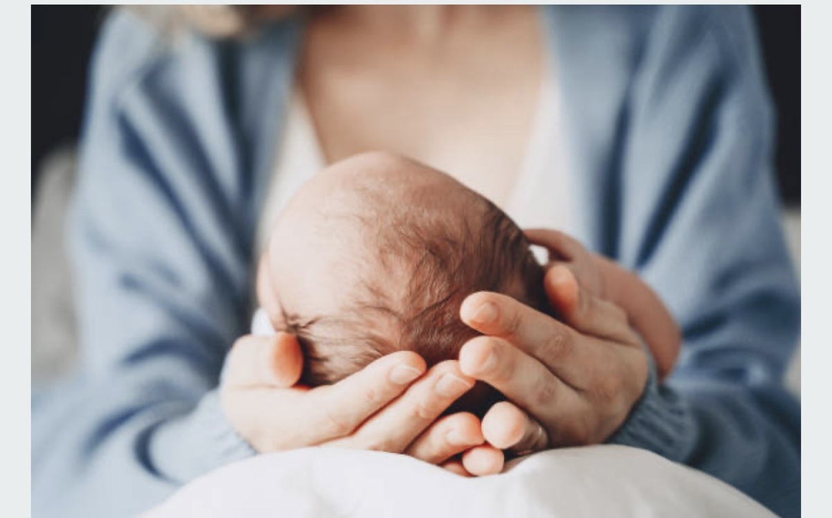 Фото взято из открытых источников интернета 