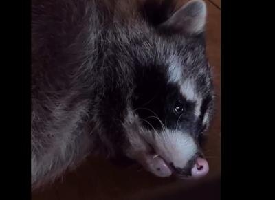 Субботнее чтиво: итоги уходящей недели