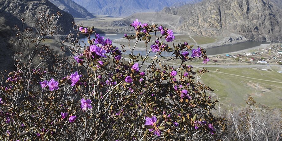    Фото: ТАСС/Кирилл Кухмарь