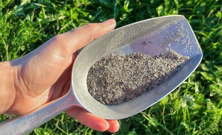    Фото: Dr. Iris Wollmann