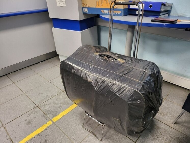     В городе насчитали уже более 8,6 тысячи точек. Фото: архив МК в Питере