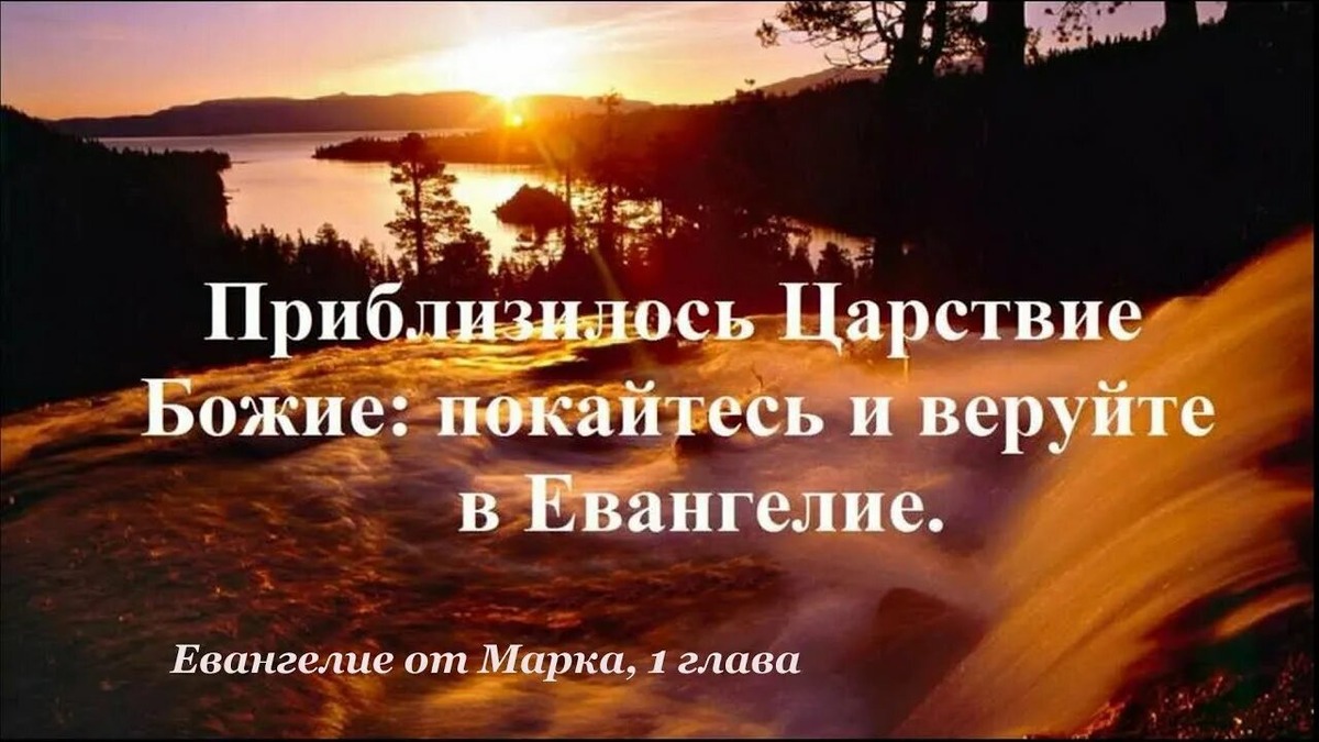 Из открытых источников Яндекса.