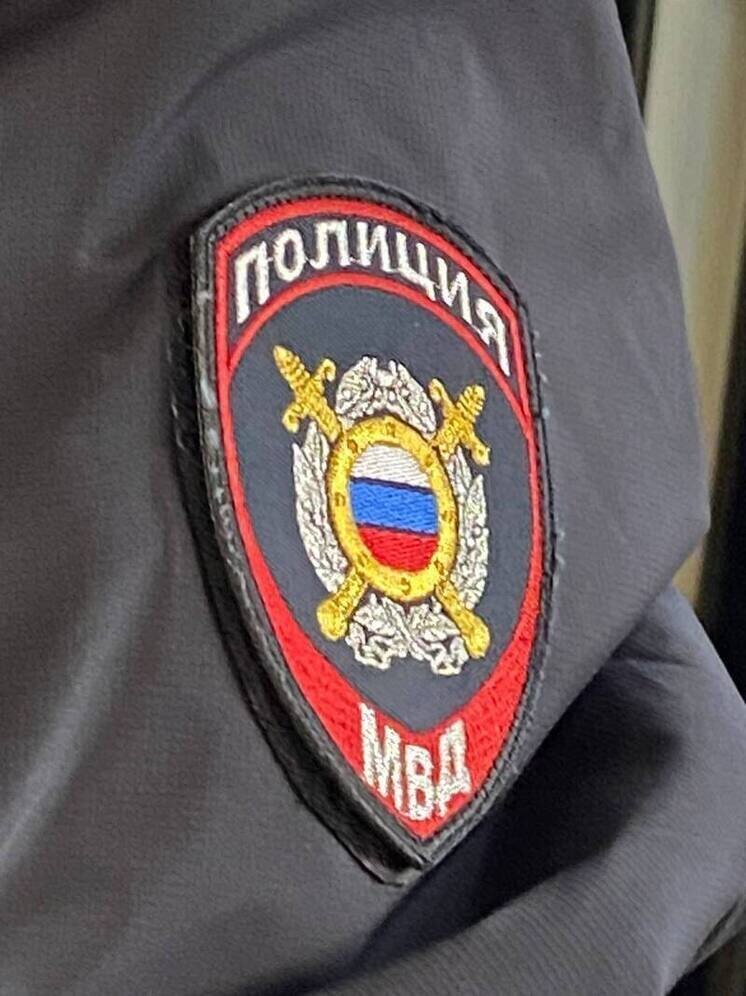   Елена Полякова