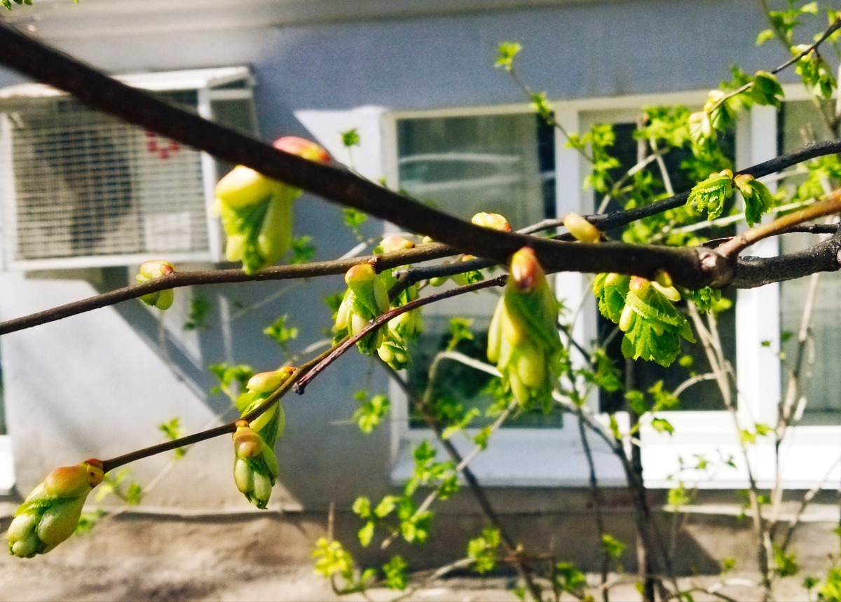 Фото автора