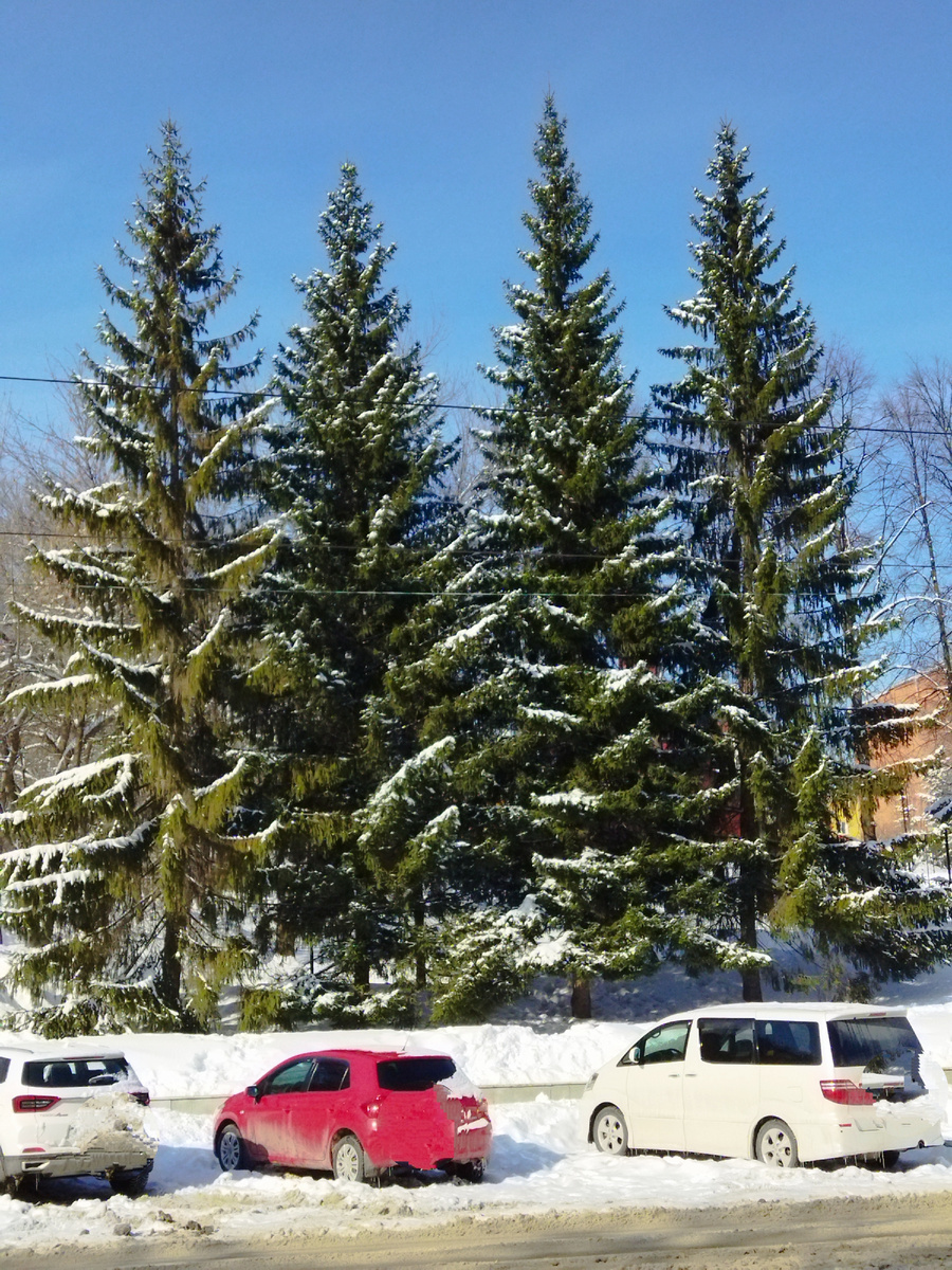 Фото автора