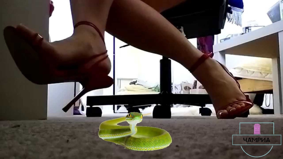 #English_idioms #Английские_идиомы #get_feet_under_the_table #освоиться_на_новом_месте