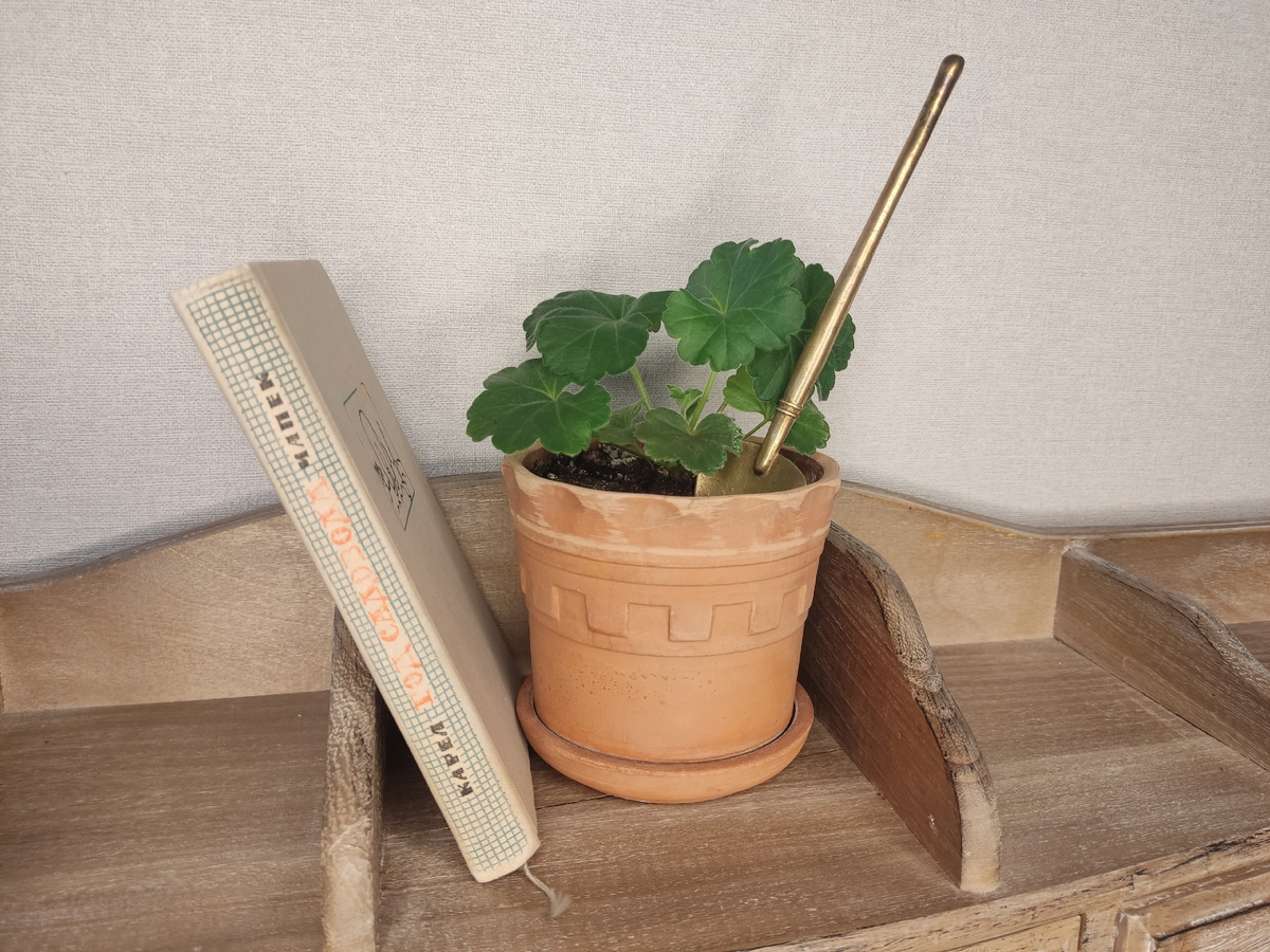 Пусть кажусь ретроградом, но буду биться за живое слово, натуральные материалы и "бабушкины" цветы