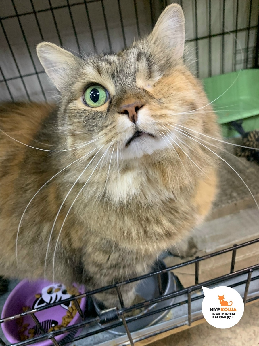 Тиффани повезло, возможно, в первый раз в жизни.