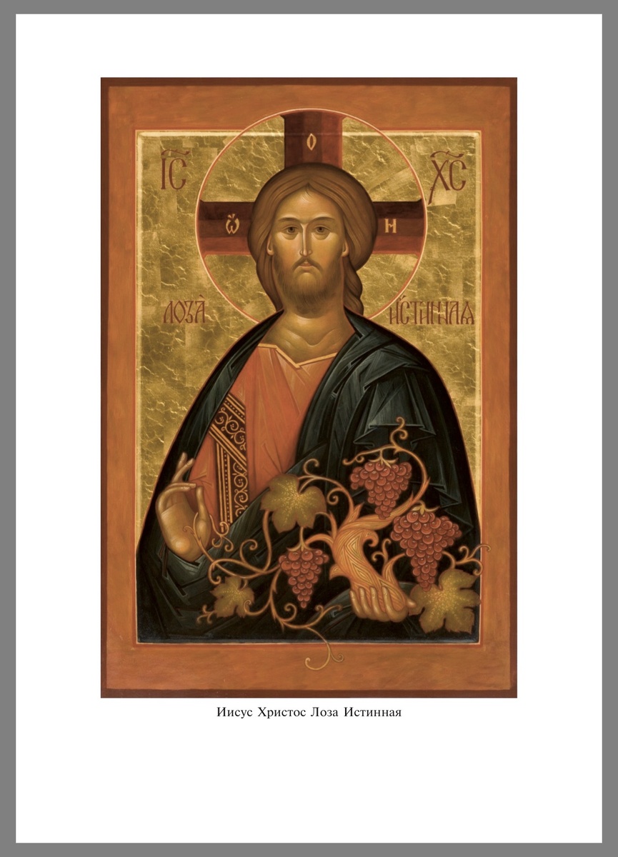 По предложению программы «Метанойя» группа православных христиан - священников и мирян, движимая сочувствием к страждущим от различных зависимостей, таких как наркомания, алкоголизм и иных, создала новый образ Христа Спасителя, который наименовала «Лоза Истинная». Икона создана в соответствии с православной иконописной традицией на средства участников программы. Образ написан иконописцем, который более 15 лет активно выздоравливает от алкоголизма по программе 12 шагов.