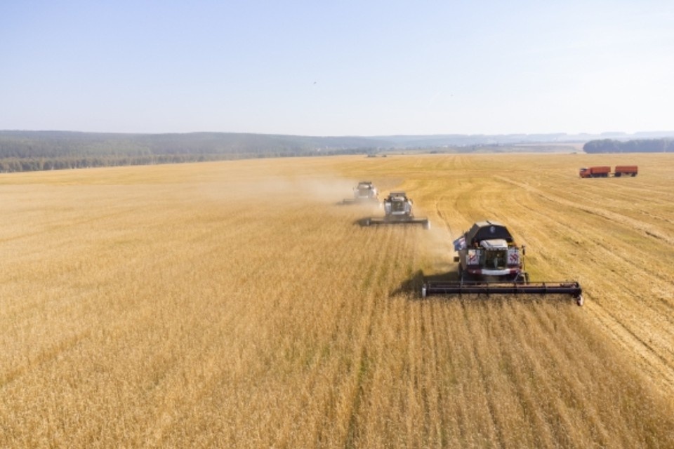    Регион стал лидером в Сибири и вошел в топ по России. Мария ЛЕНЦ