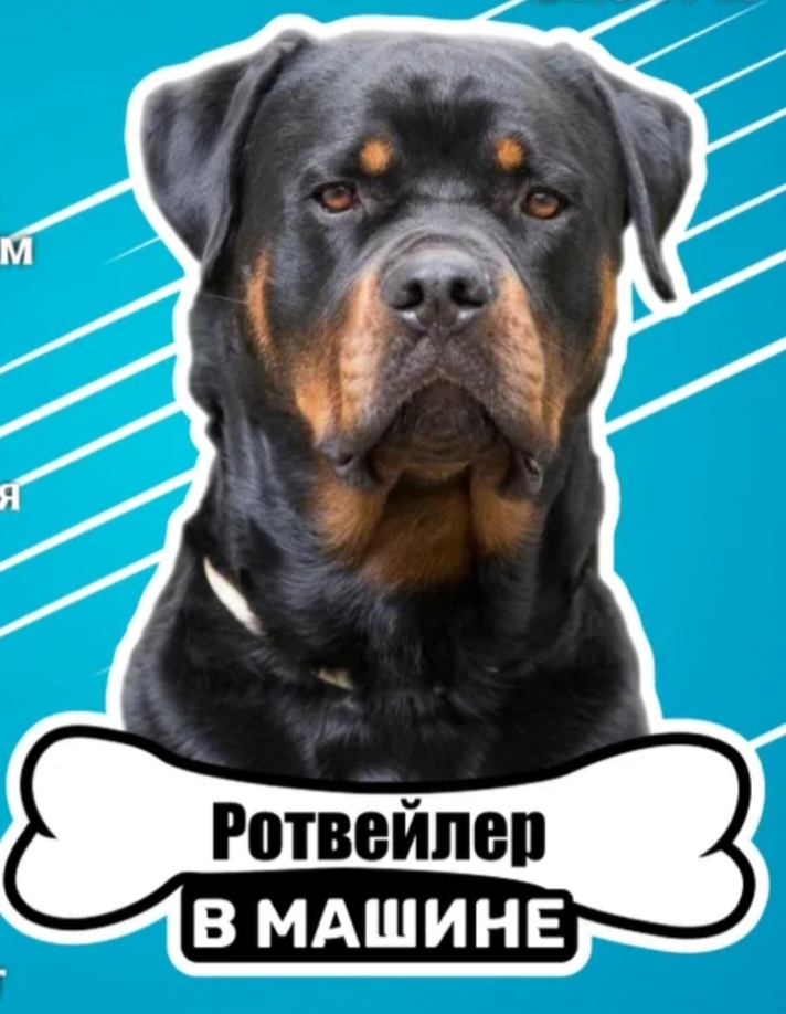 Один в один, наша Берта!