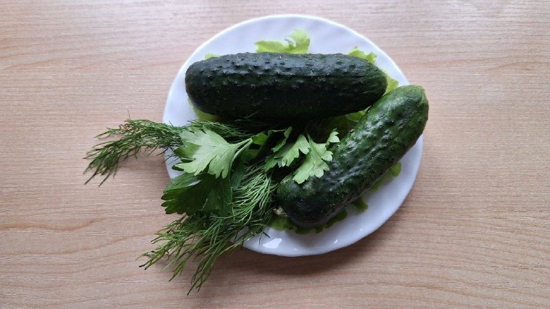     Фото: Бриф 24