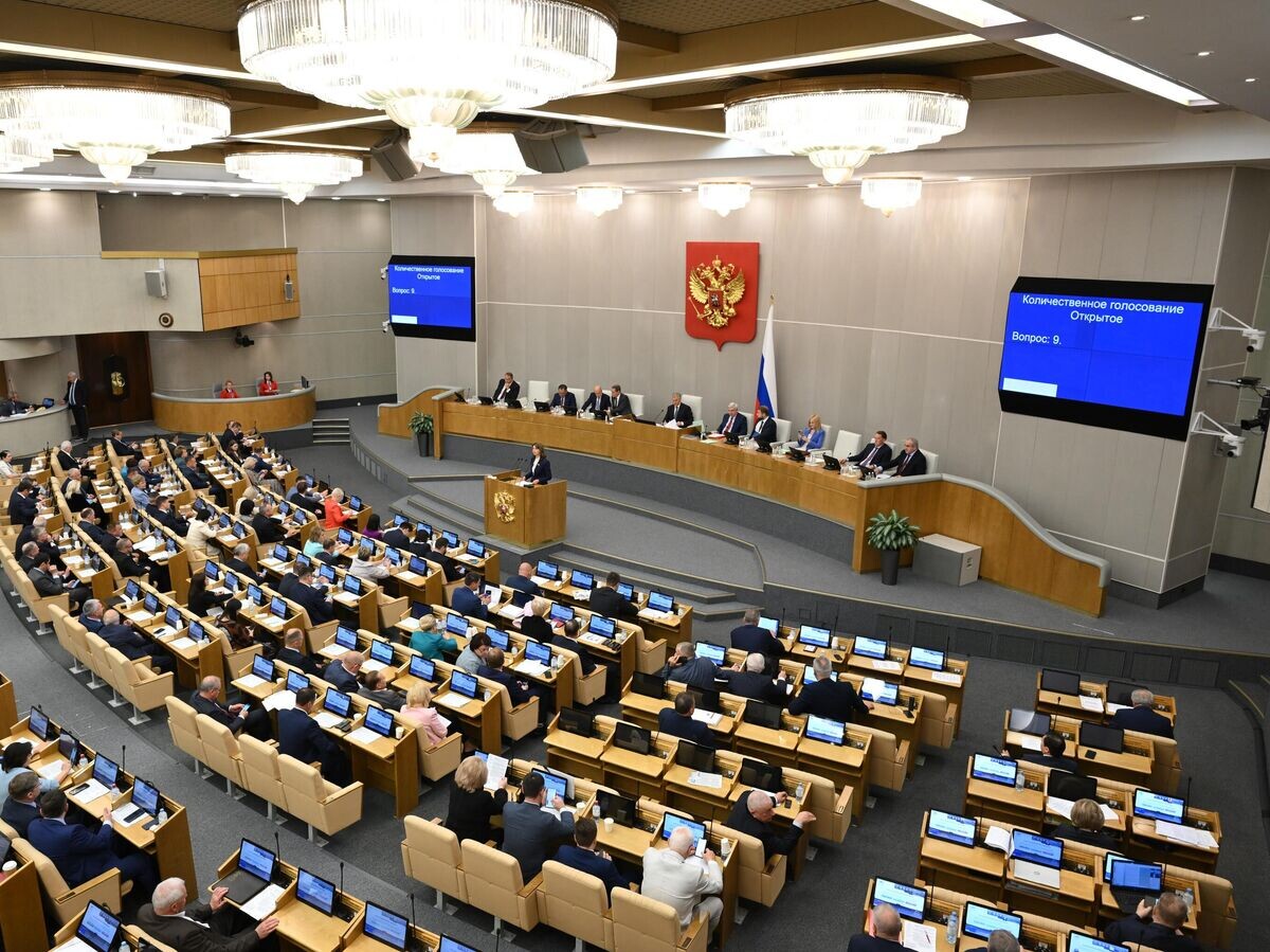    Первый заместитель председателя комитета Государственной Думы РФ по государственному строительству и законодательству Ирина Панькина выступает на пленарном заседании Госдумы РФ | © РИА Новости / Максим Блинов