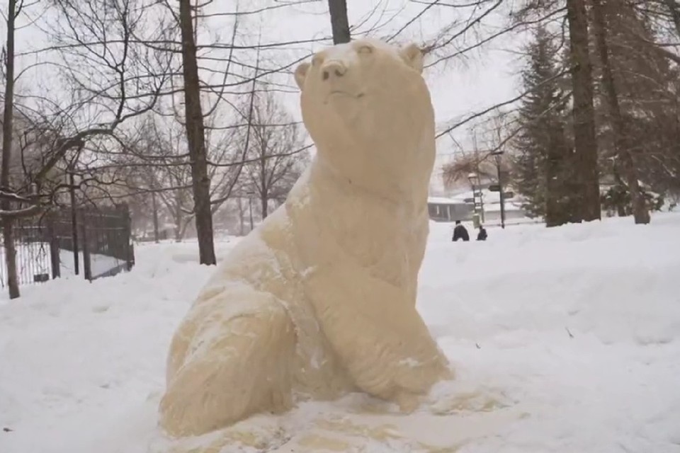    Фото: t.me/svetlanaakulova1