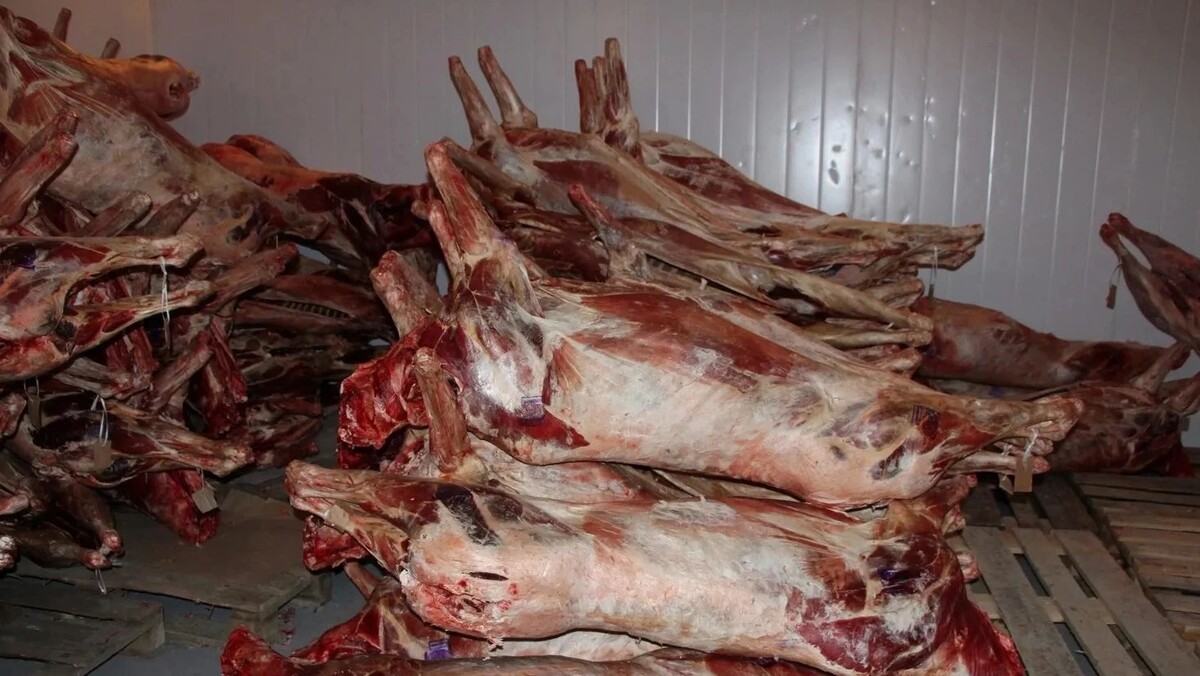    Фото: Елена Миленина / «Ямал-Медиа»