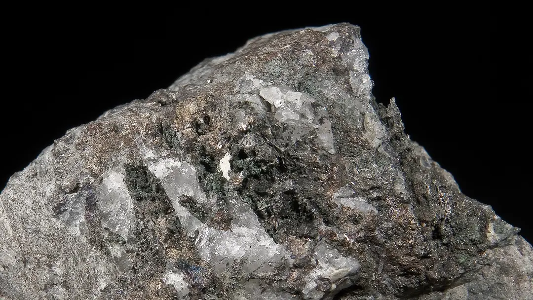 Didier Descouens  / Wikimedia📷
