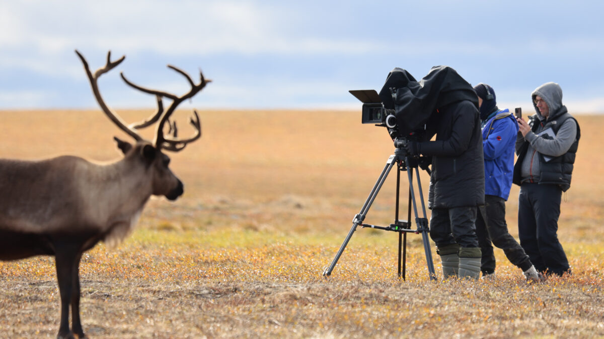    Фото предоставлено Свердловской киностудией. Официальный сайт Правительства ЯНАО