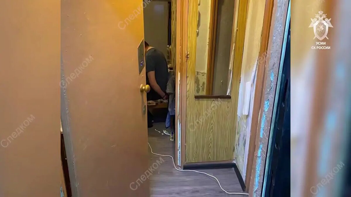    Фото: кадр видео СК РФ