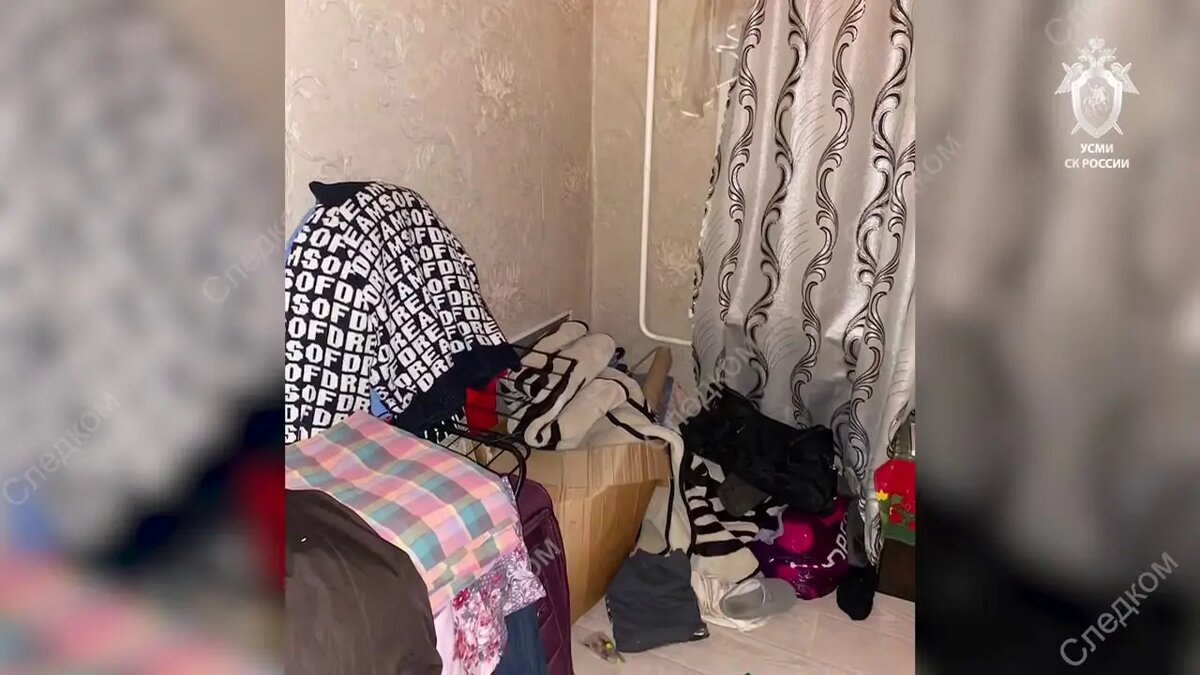    Фото: кадр видео СК РФ