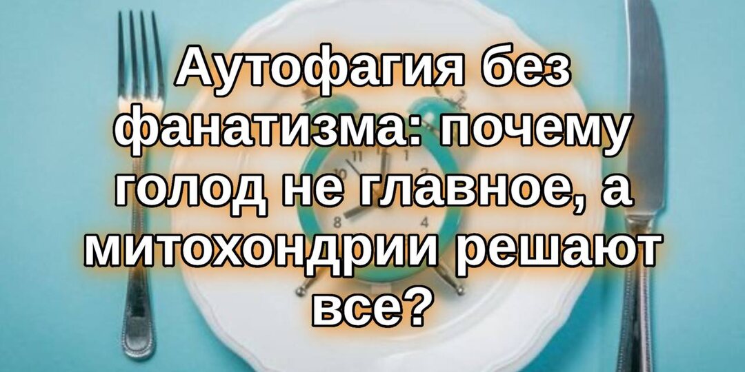 Аутофагия без фанатизма: почему голод — не главное, а митохондрии решают всё