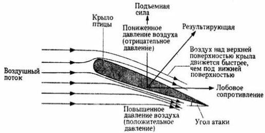 Рис.2