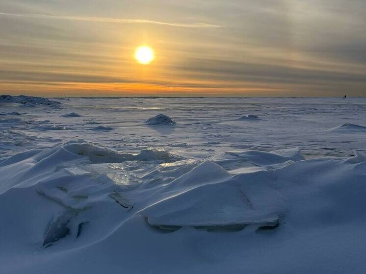     Фото: архив МК в Мурманске