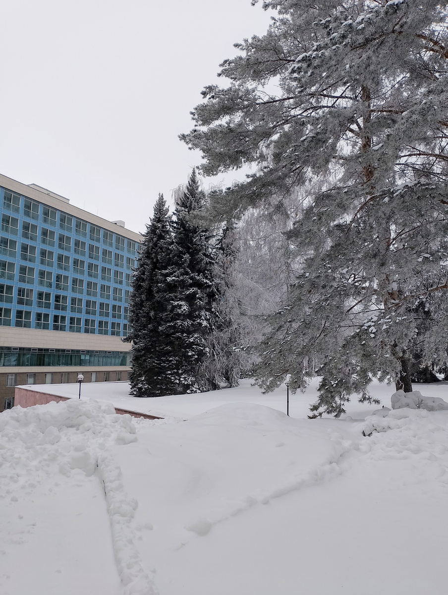 Вид спереди