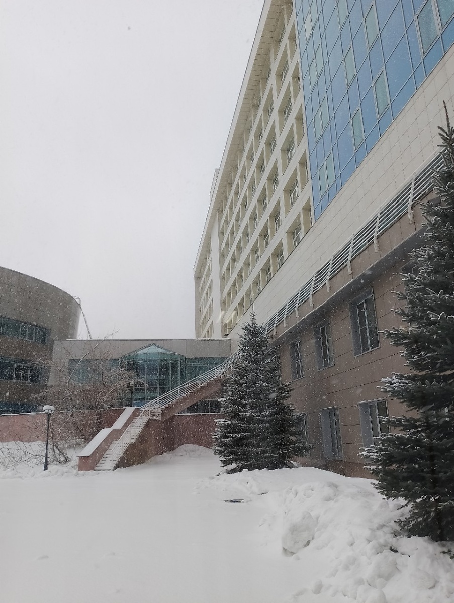 Вид из моего рабочего окна