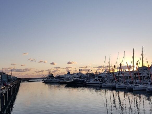    Фото: Элина Болдырева