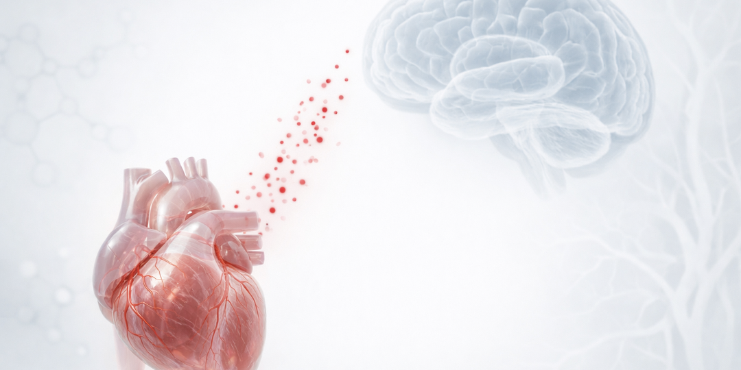 Можно ли жить с фибрилляцией предсердий и не пить антикоагулянты?