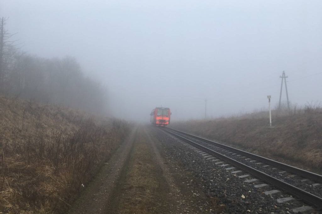    фото: Сергей Ковалев