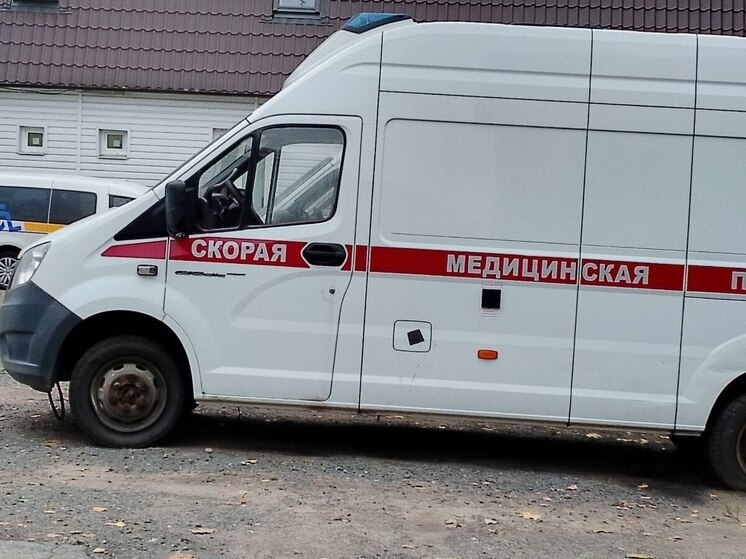     Фото: «МК в Ленобласти»/Надежда Гусарова (архив).