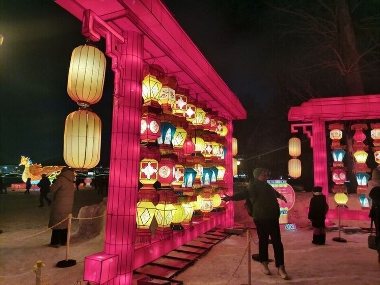     Посетить выставку можно с 10:00 до 22:00. Фото: МК в Питере / Наталья Ефимова