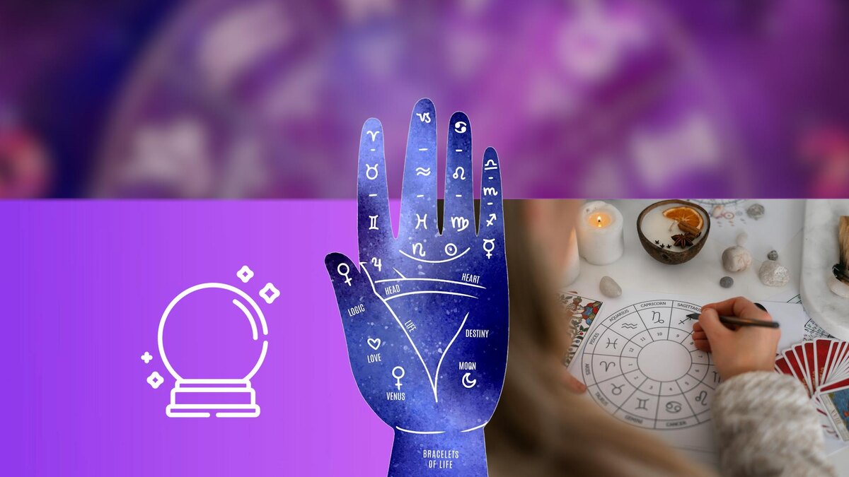 Коллаж 78.ru: pixabay.com; pngwing.com; freepik.com