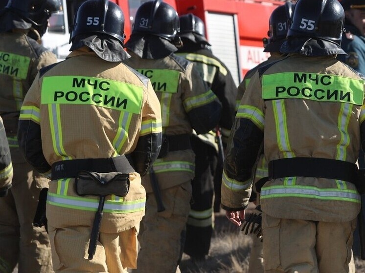     Фото: Юлия Боровикова («Вечерний Челябинск»)