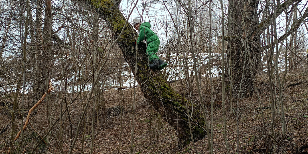 Когда наступит весна