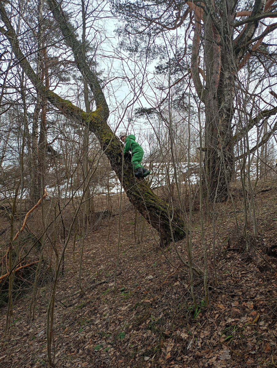 В овраге снег тает в последнюю очередь. Фото автора