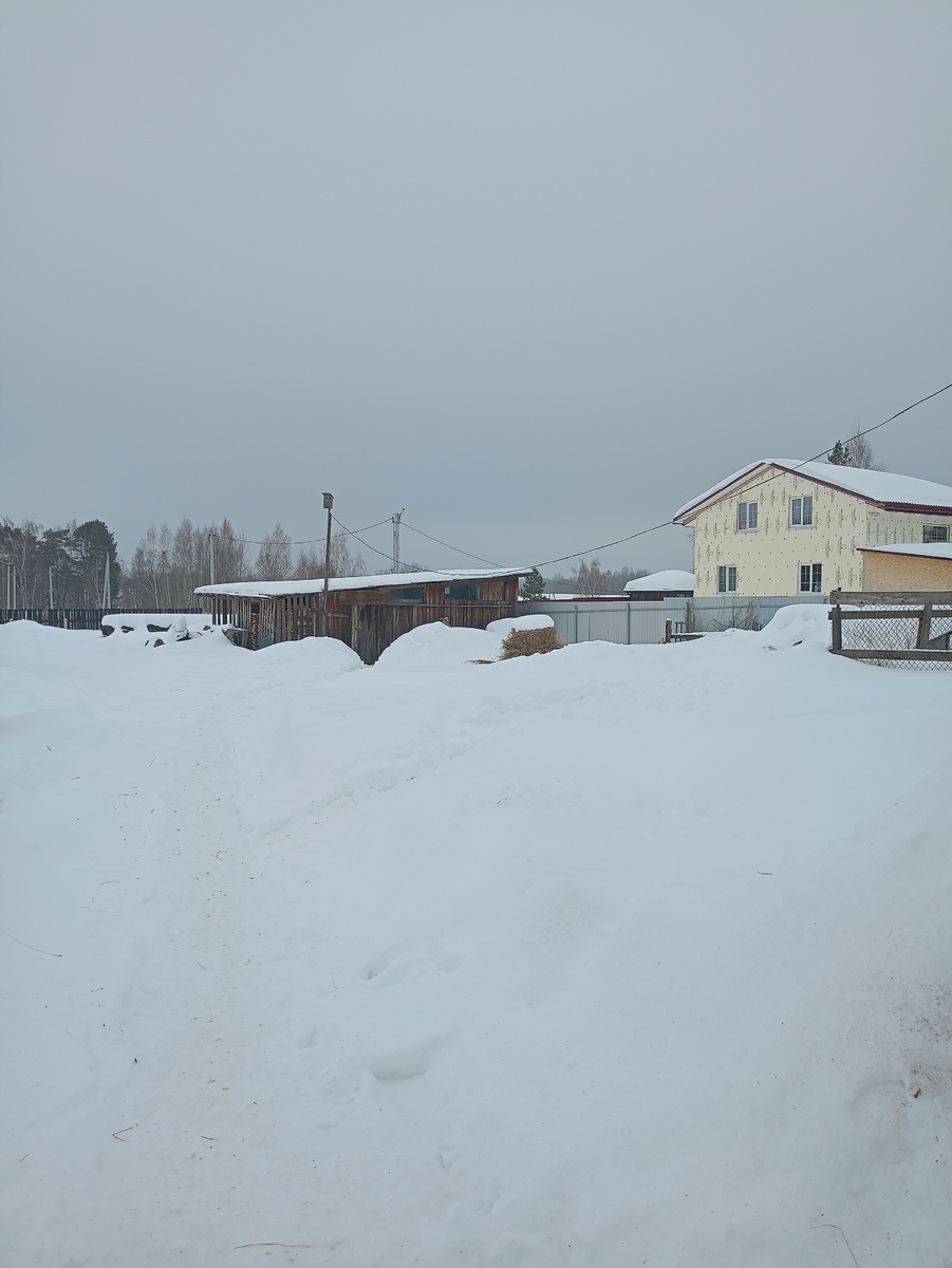 Серо-белое..фото автора