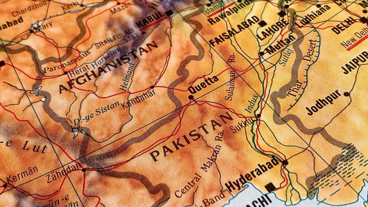    Фото: Shutterstock