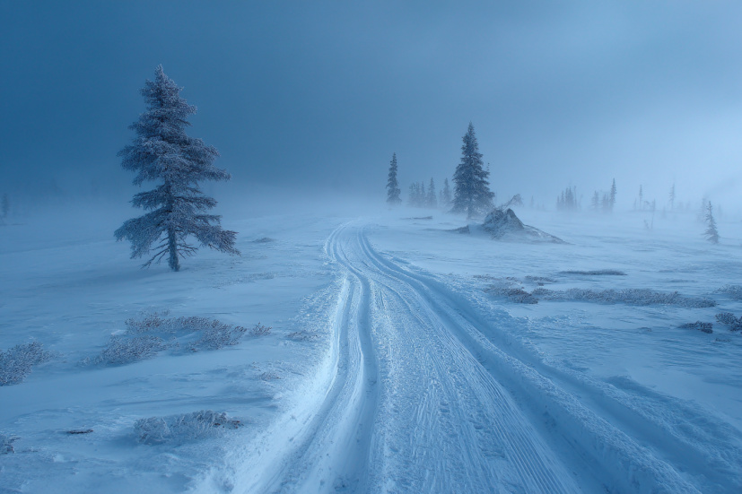    Создано ИИ/NEWS.ru