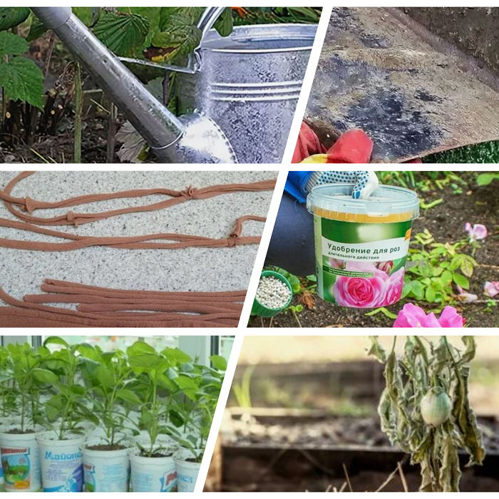 Есть вещи, на которых экономить не просто можно, а нужно. А есть то, на чём скупой платит дважды. 