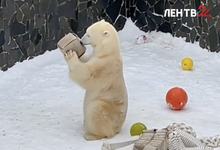 фото: скриншот из видео ЛенТВ24