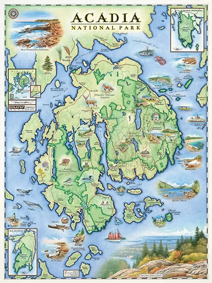 Карта парка