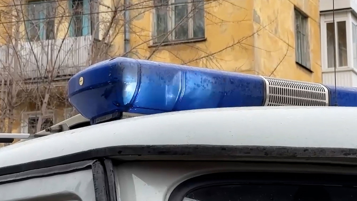    Полиция мигалка