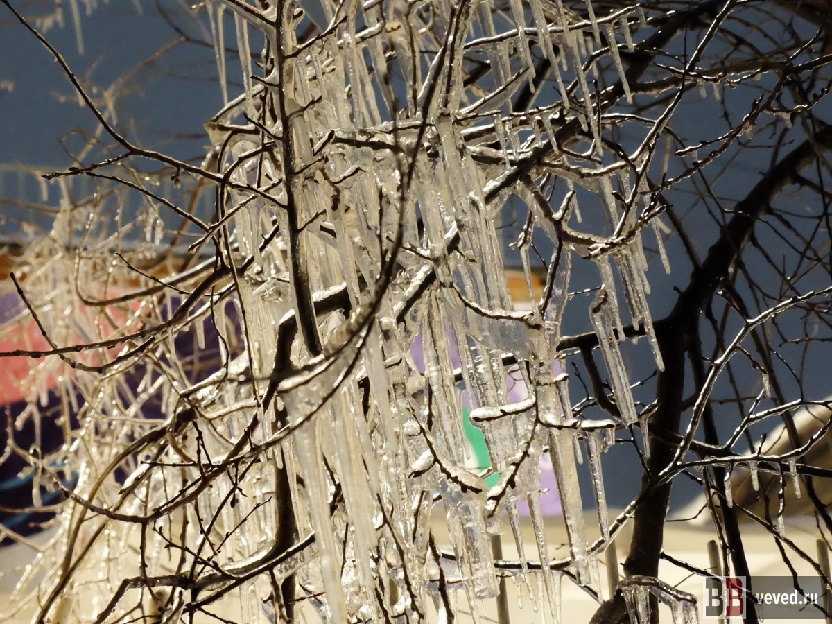     Фото: Владислав Постников / Вечерние ведомости